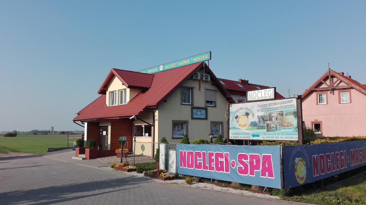 Tropikalna Odnowa Bed and Breakfast Falkowo Exteriör bild